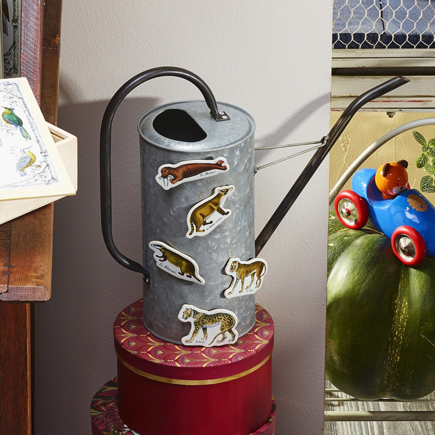 Zoological Magnets | Muséum National d'Histoire Naturelle | Wood Magnets