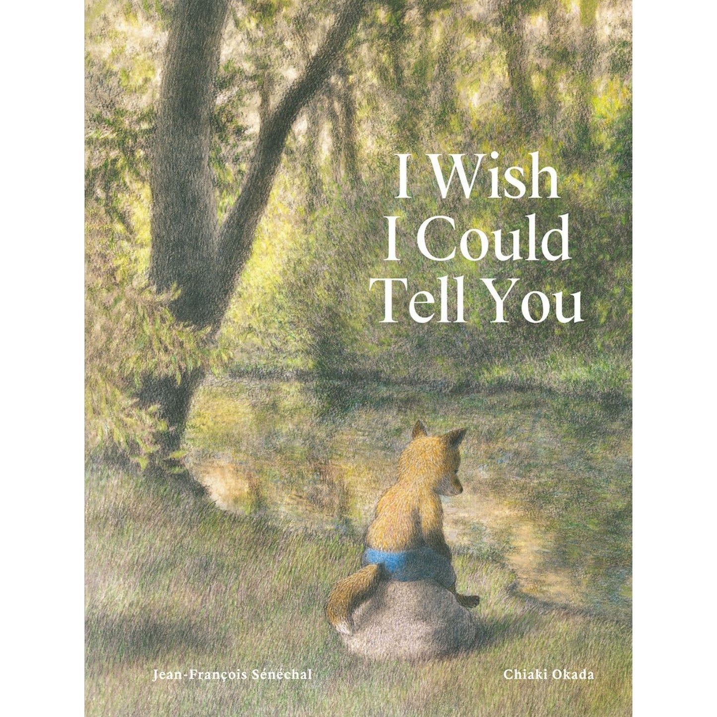 I Wish I Could Tell You | Hardcover | Children’s Book on Feelings and Emotions