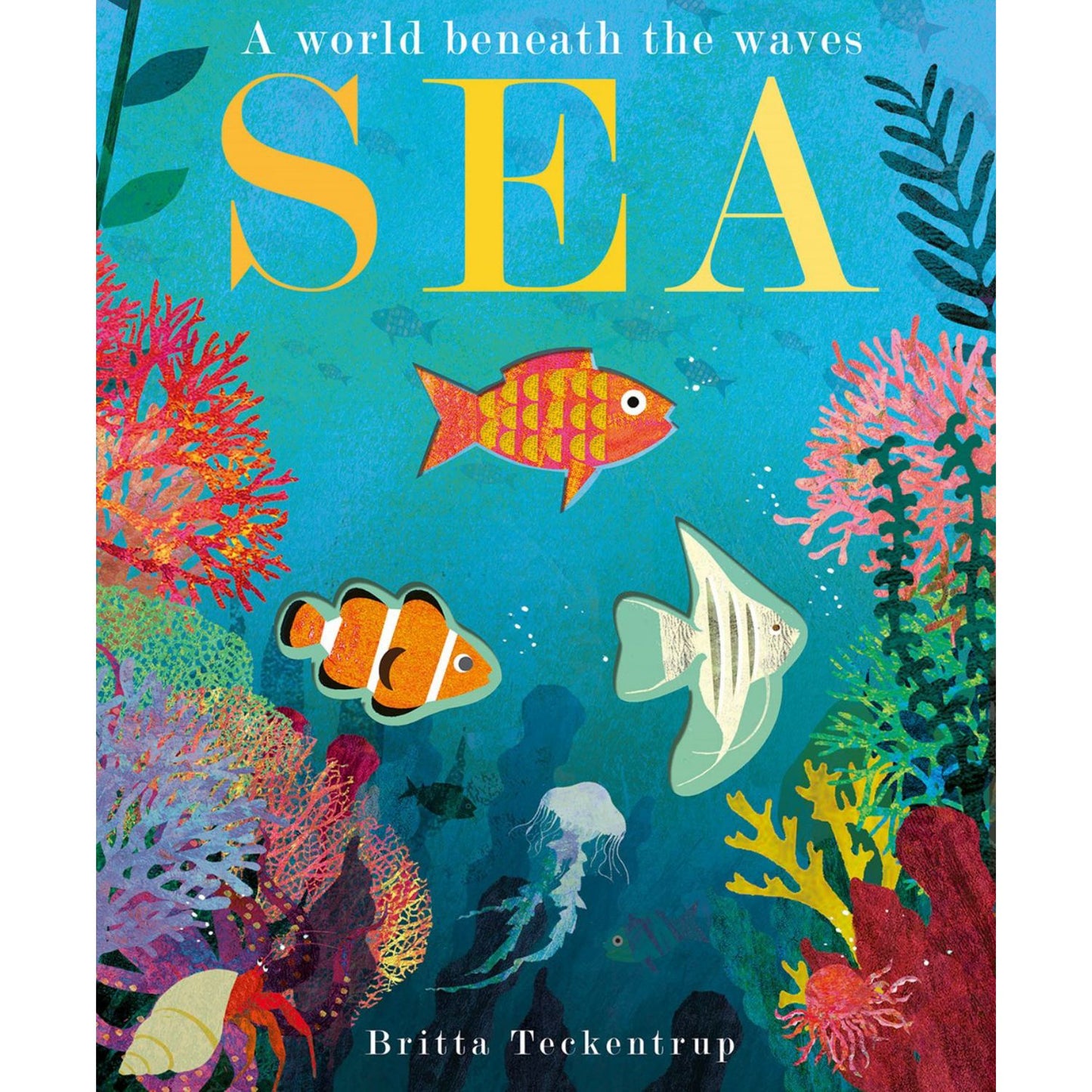 Sea: A World Beneath the Waves | Board Book | Children’s Board Book on Nature