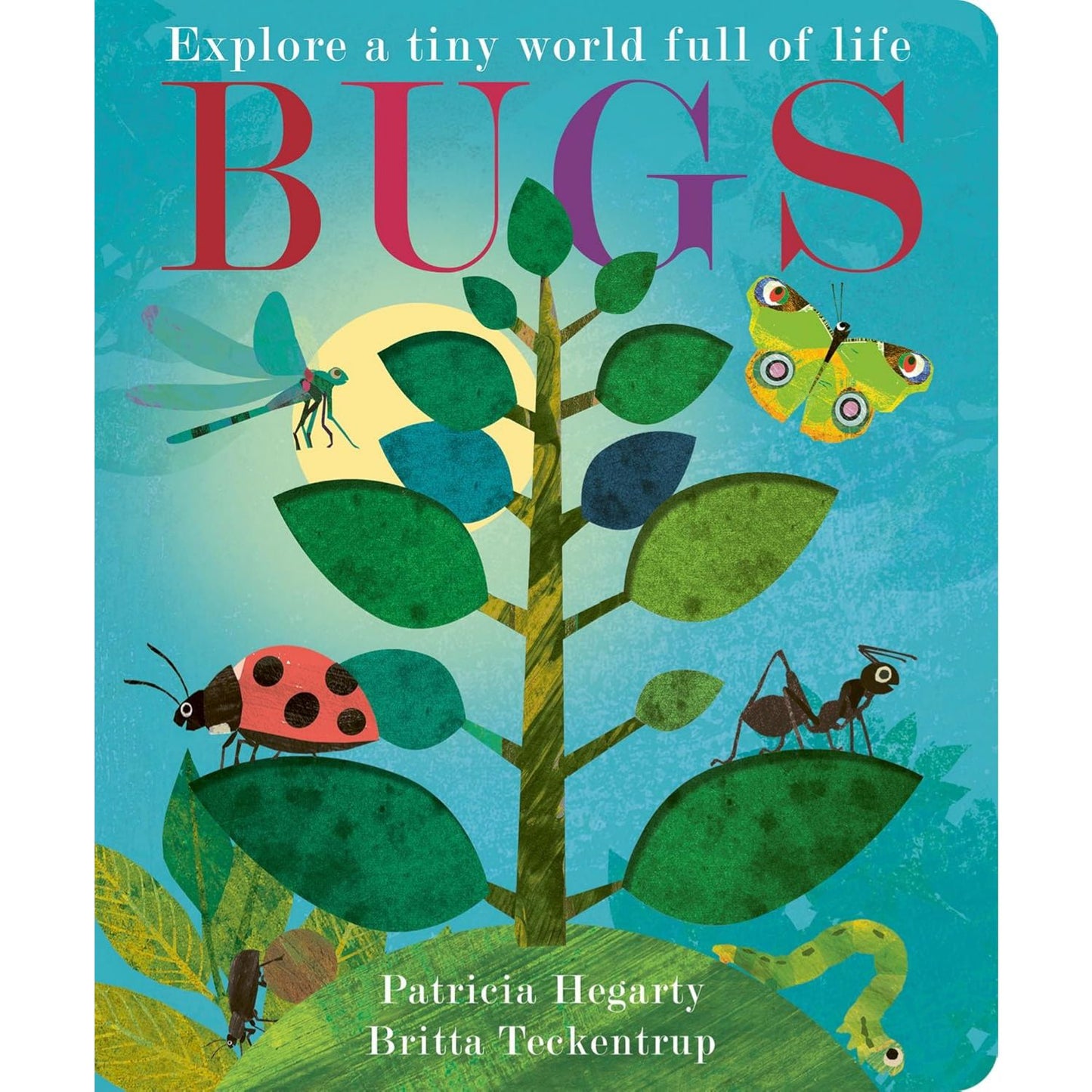 Bugs | Board Book | Children’s Board Book on Nature