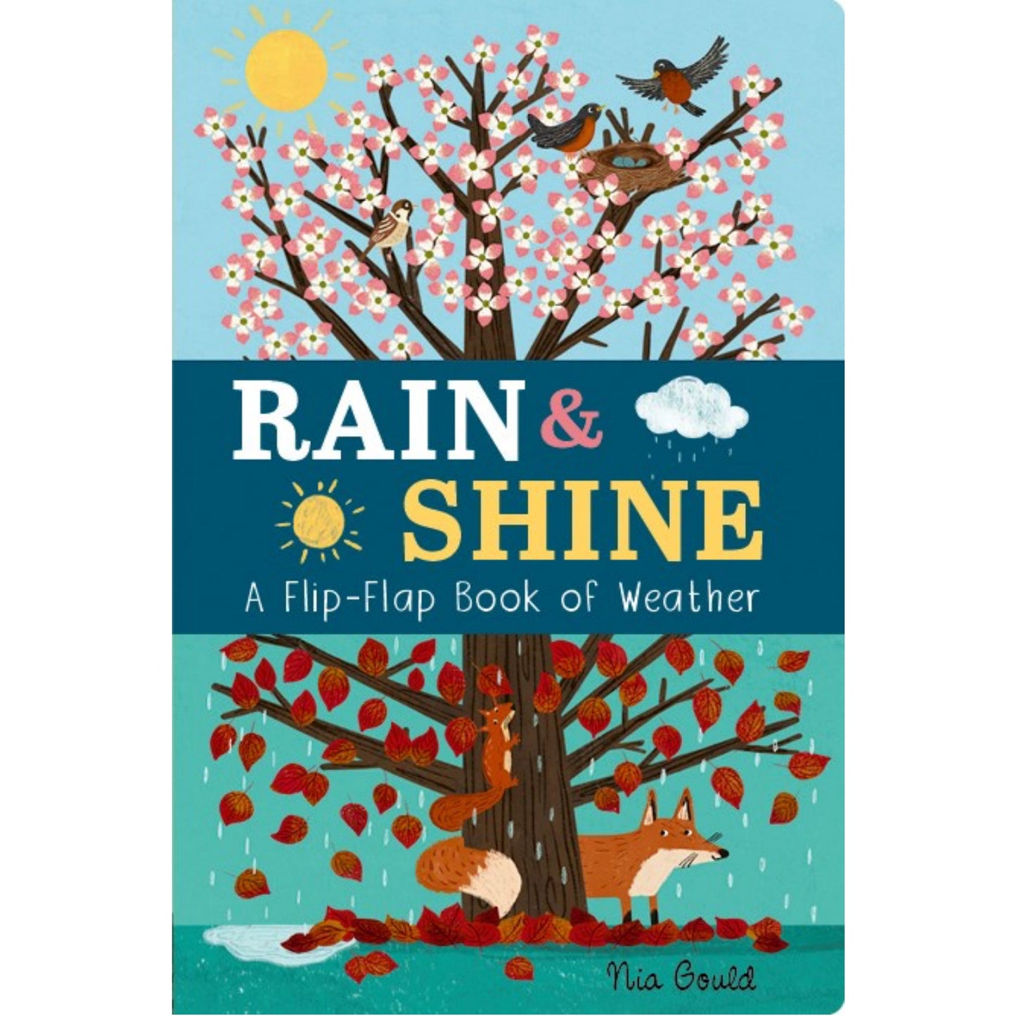 Rain & Shine: A Flip-Flap Book of Weather | Children's Board Book on Weather
