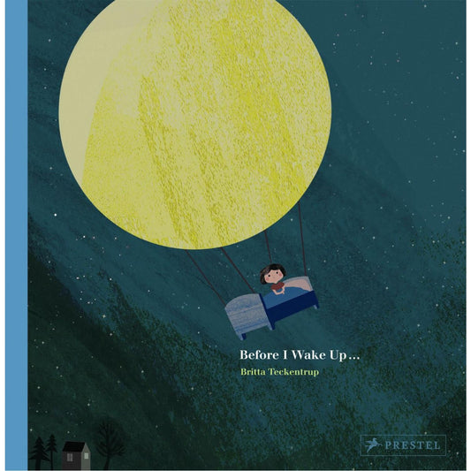 Before I Wake Up... | Paperback | Children’s Bedtime Book