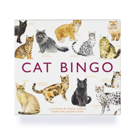 Cat Bingo game box with images of cats on a white background