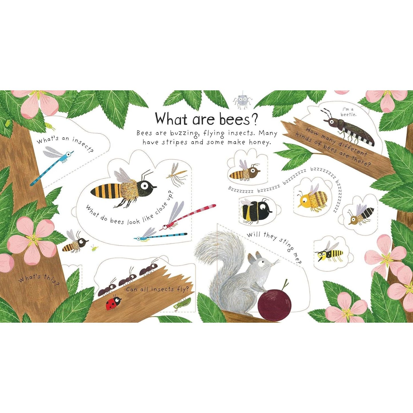 Why Do We Need Bees? - First Questions & Answers Lift-the-Flap Board Book