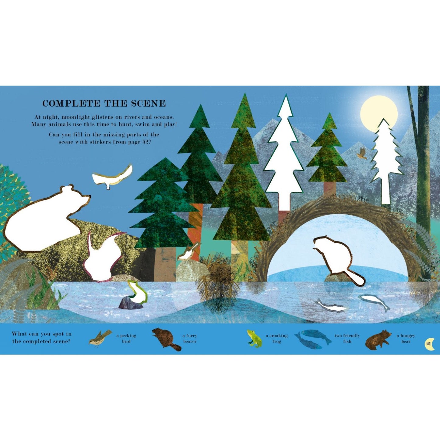 Moon: Activity Book | Paperback | Children’s Board Book on Nature