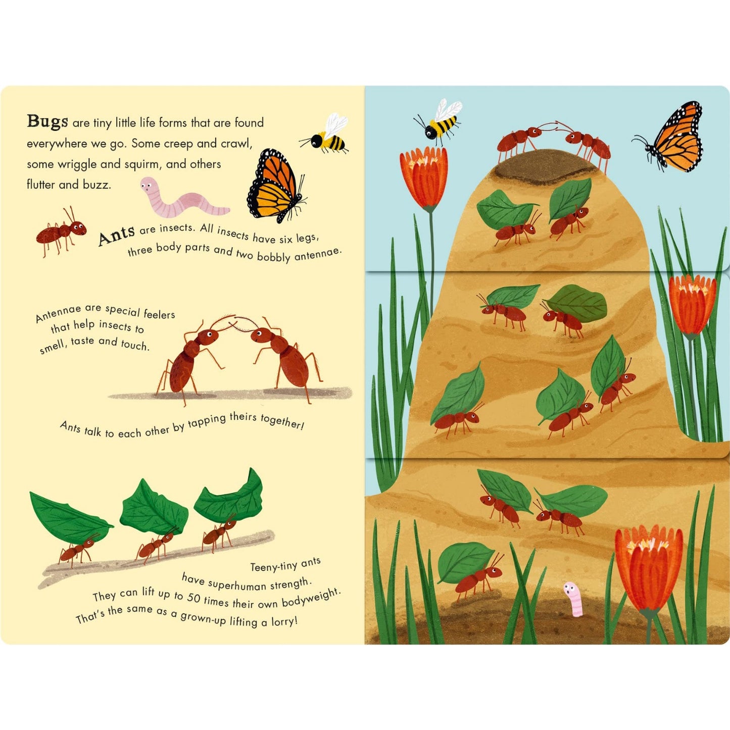Bees & Beetles: A Flip-Flap Book of Bugs | Children's Board Book on Insects