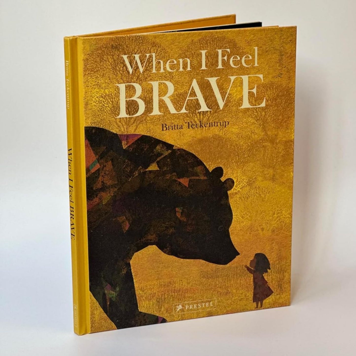 When I Feel Brave | Hardcover | Children’s Book on Emotions & Feelings