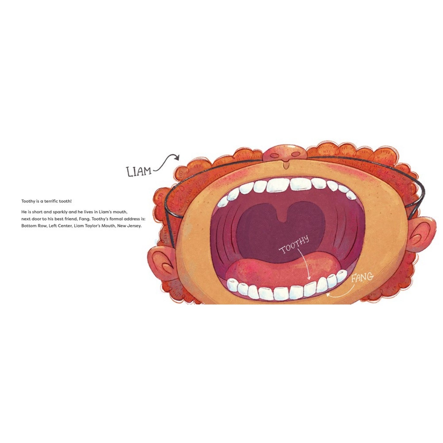 The Museum of Lost Teeth | Hardcover | Children's Book