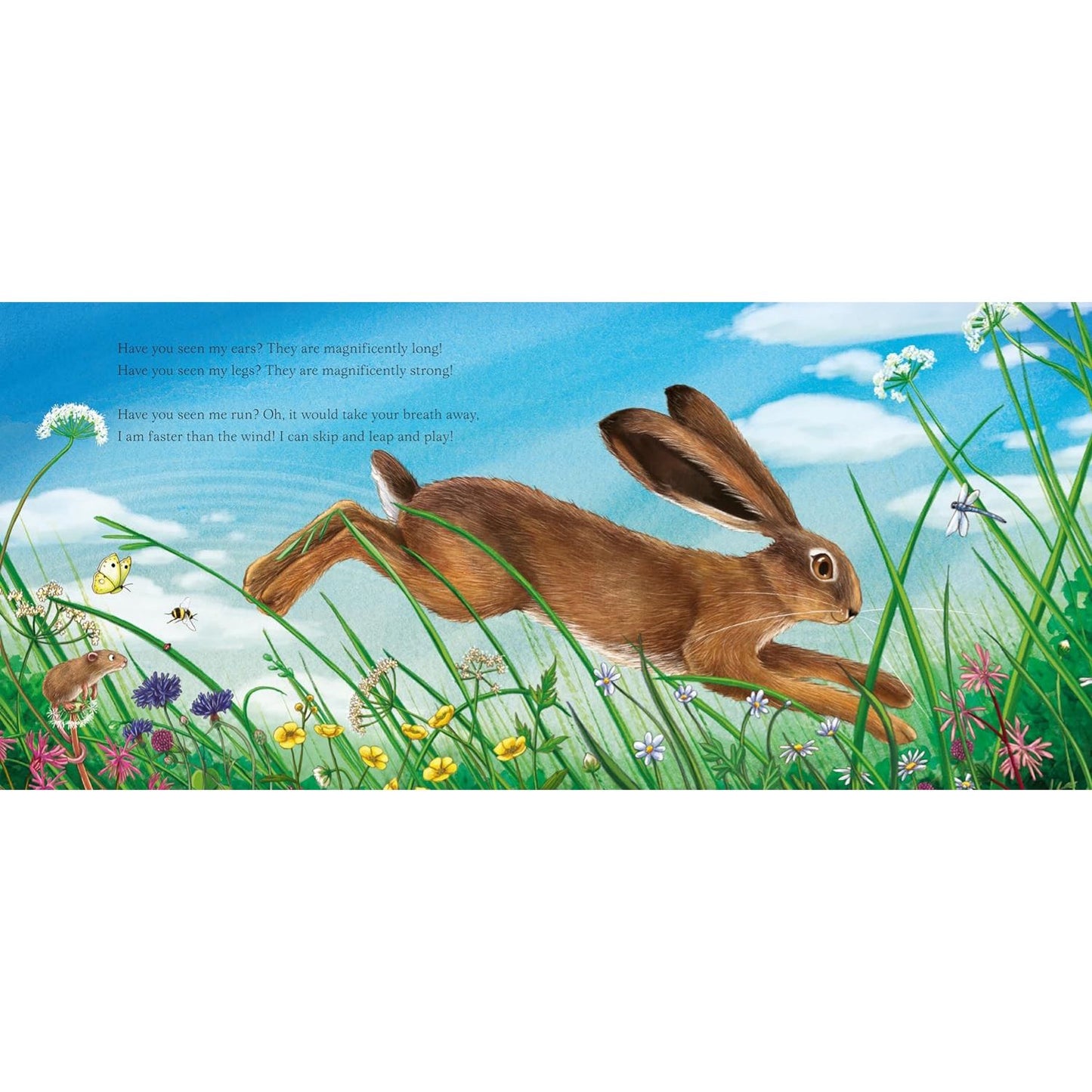 I am Hattie the Hare: A Tale from Our Wild and Wonderful Meadows | Hardcover | Children’s Book on Nature