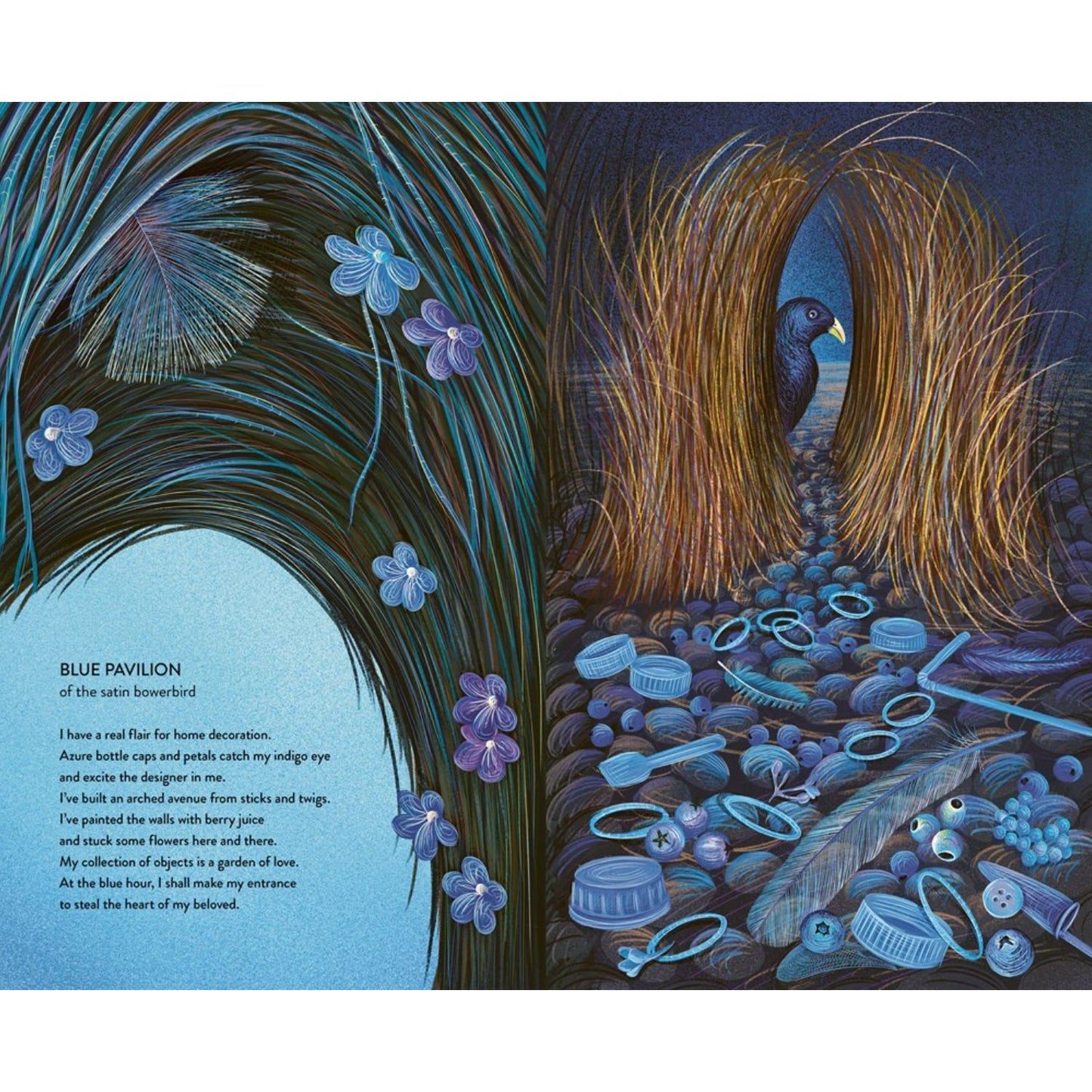 Home | Hardcover | Children’s Book on Nature