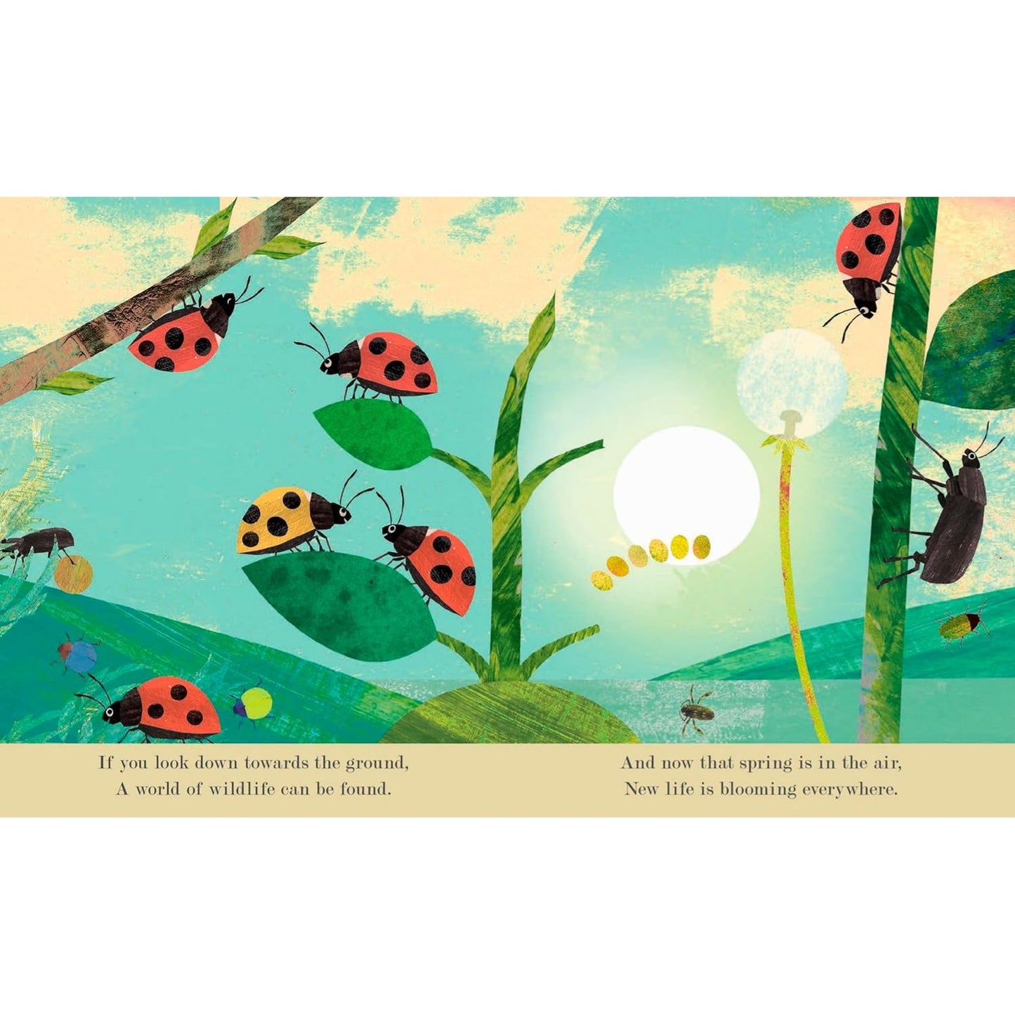 Bugs | Board Book | Children’s Board Book on Nature