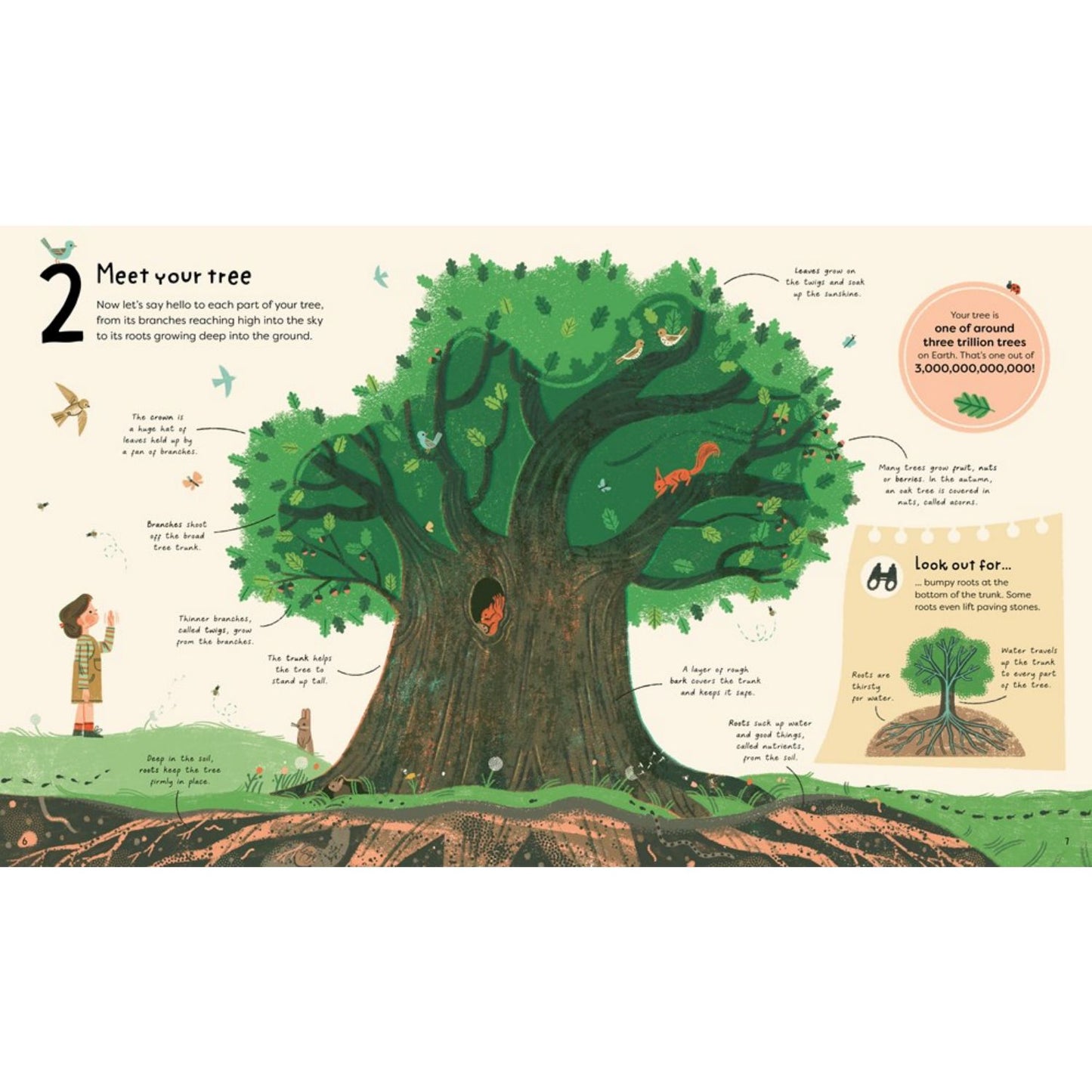 21 Things to Do With a Tree | Children’s Book on Nature