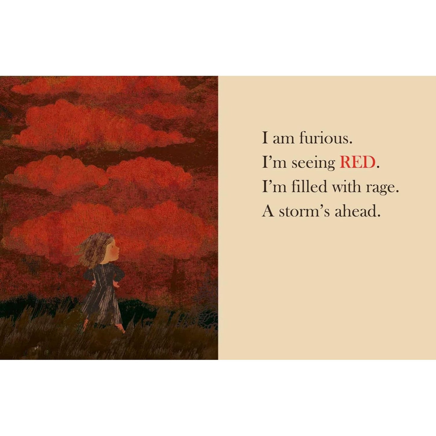 When I See Red | Hardcover | Children’s Book on Emotions & Feelings