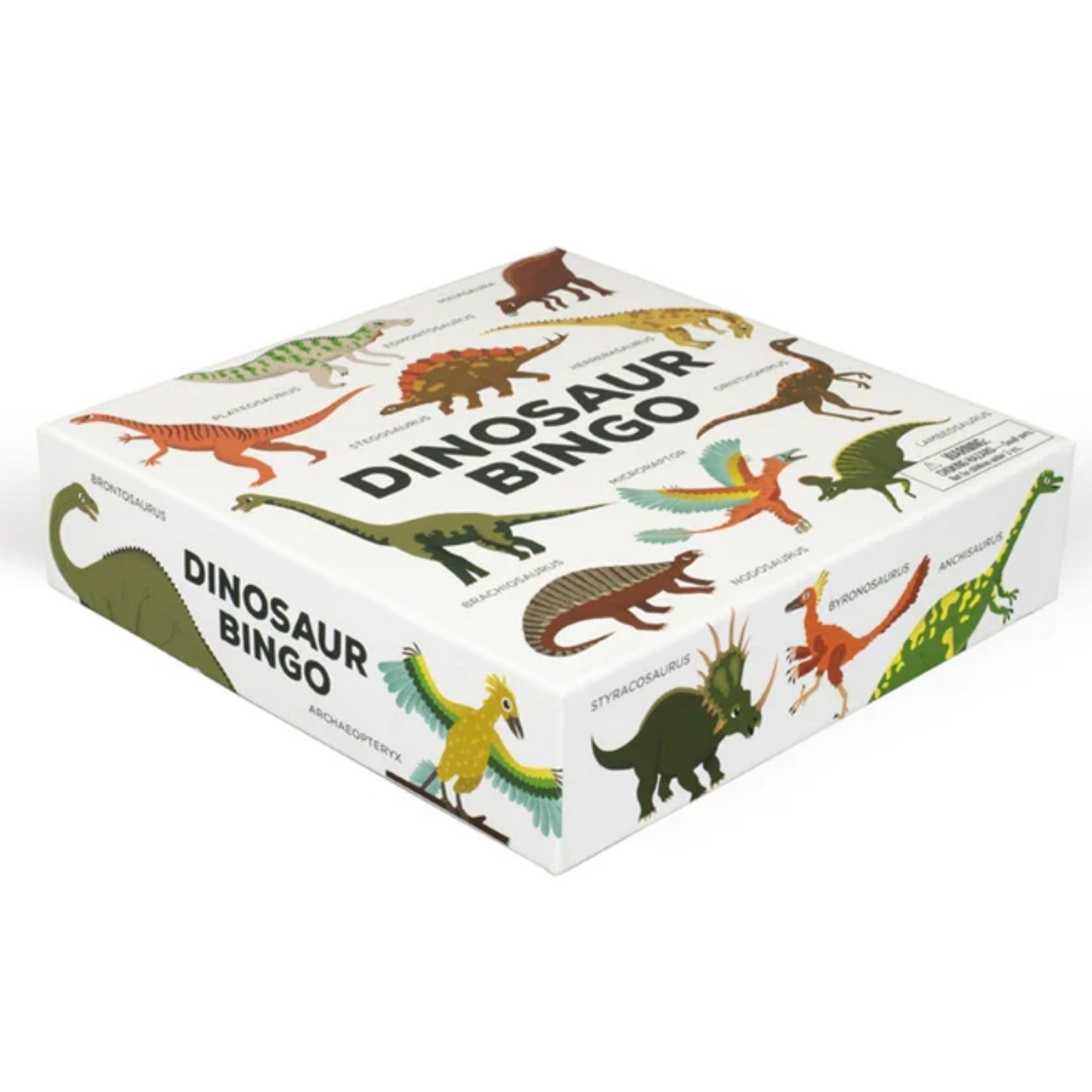 Dinosaur Bingo | Children's Bingo Sets