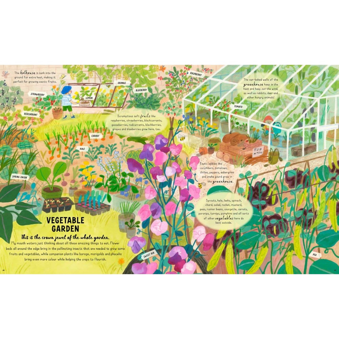 How to Grow a Garden: Find a Plant for Every Place | Hardcover | Children's Book on Gardening