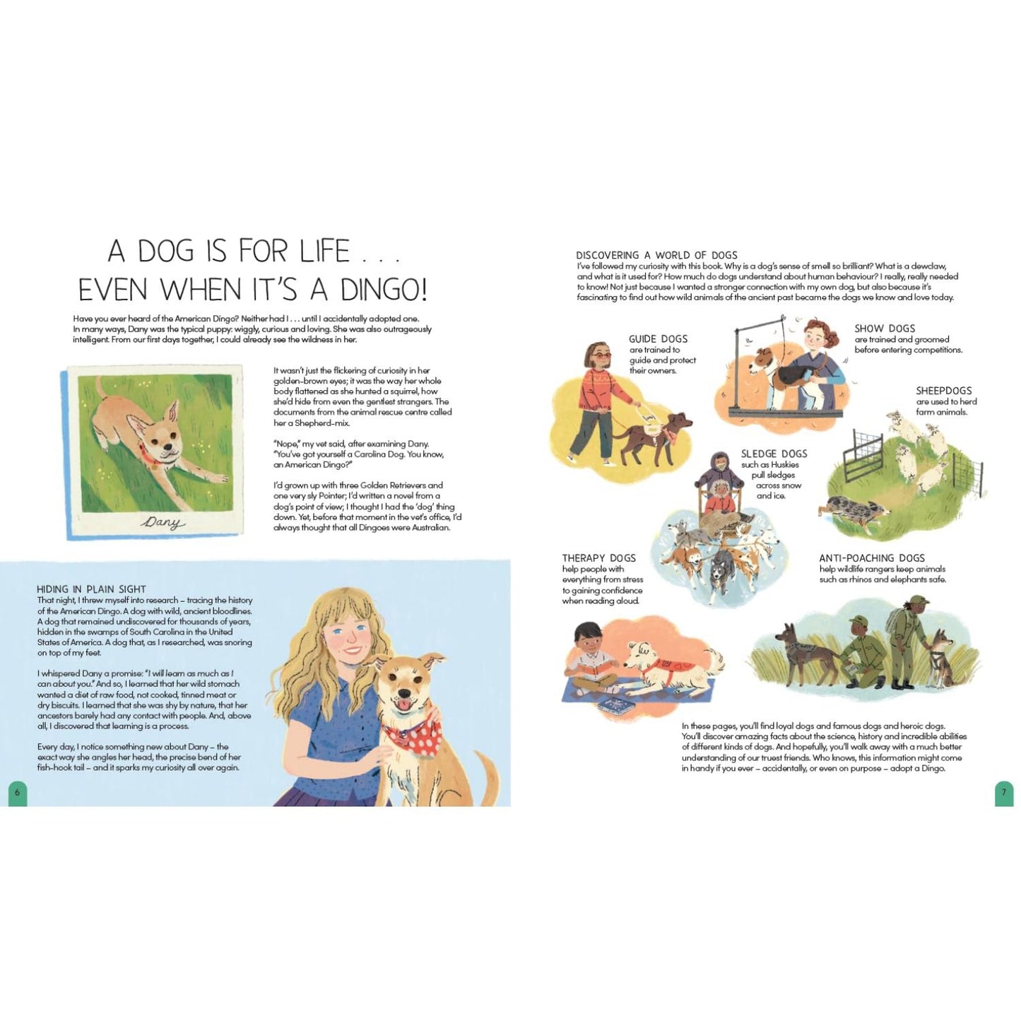 A World of Dogs | Hardcover | Children's Book on Dogs