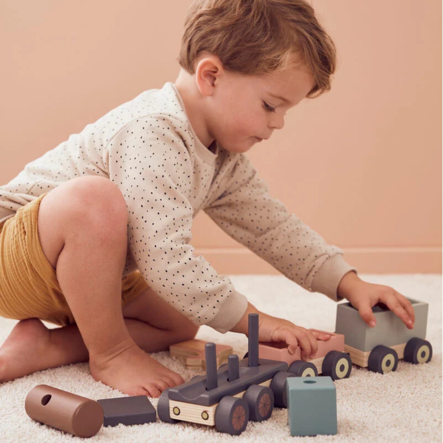 Animal Wood Train | Wooden Toddler Activity Toy