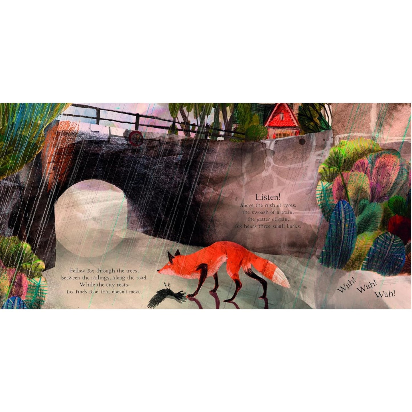 Fox: A Circle of Life Story | Paperback | Children's Book on Nature