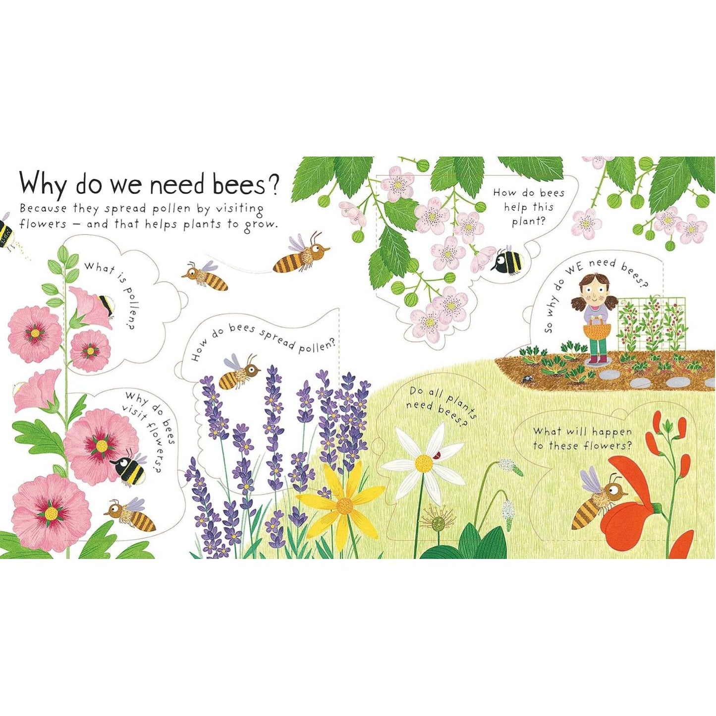 Why Do We Need Bees? - First Questions & Answers Lift-the-Flap Board Book