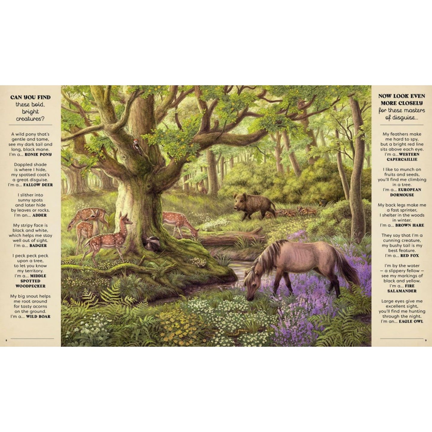 Picture Puzzler: A Natural History | Hardcover | Children's Books on Nature