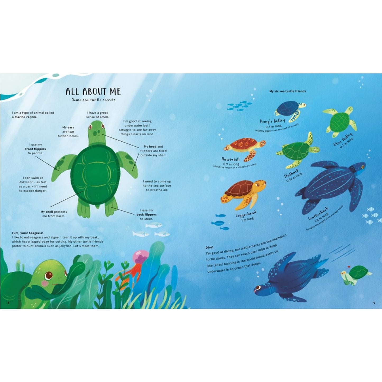 The Secret Life of Oceans | Hardcover | Children’s Book on Nature