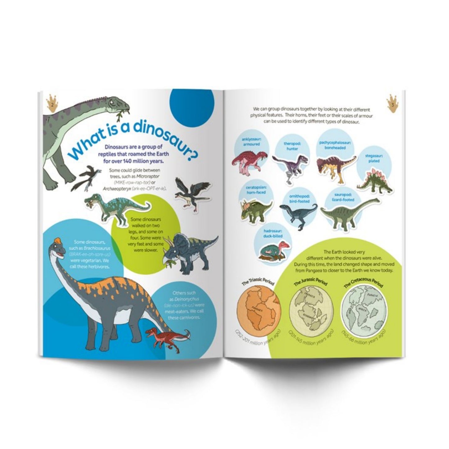 Dinosaur Sticker Book | Children's Activity Book