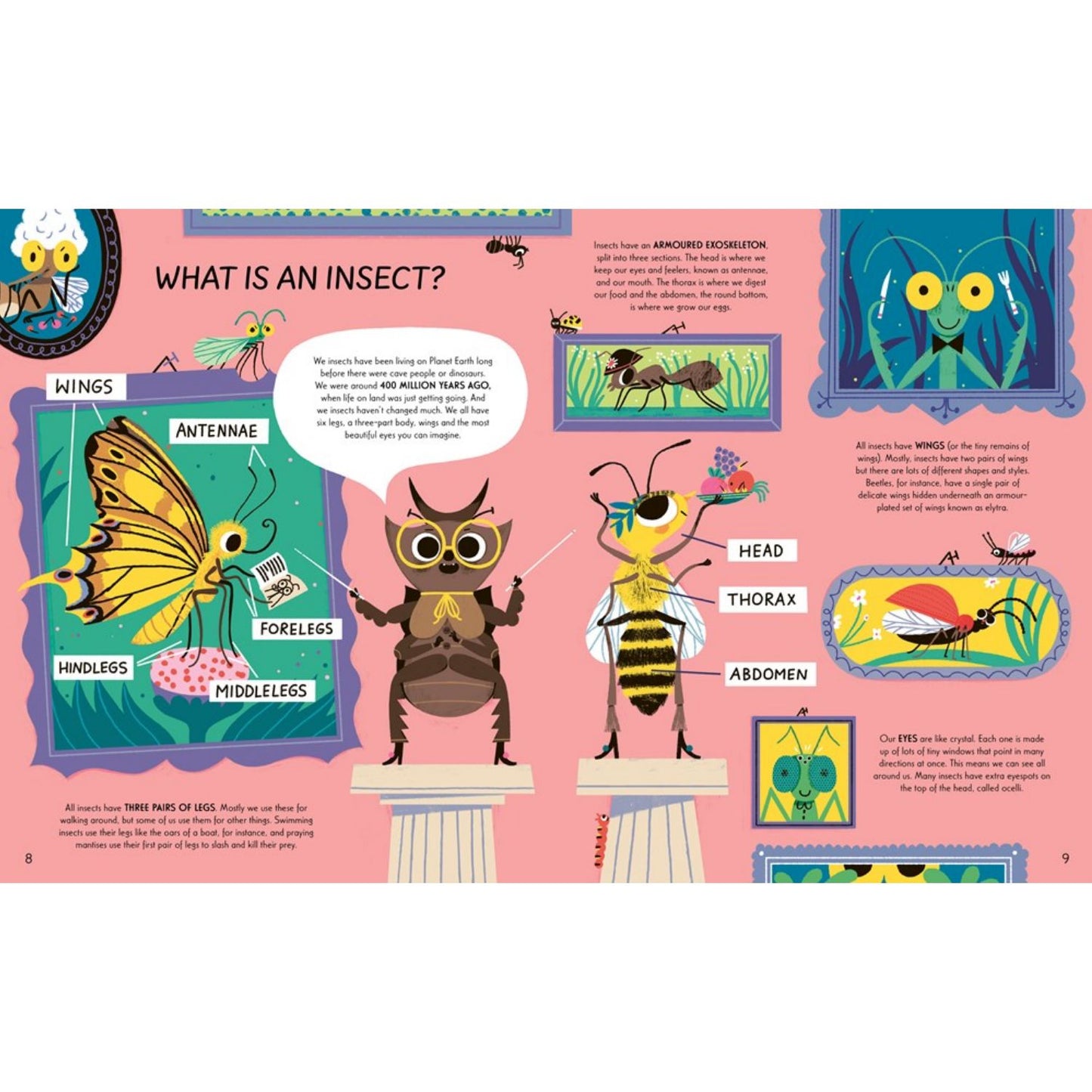 Respect the Insect | Hardcover | Children's Book on Bugs & Spiders