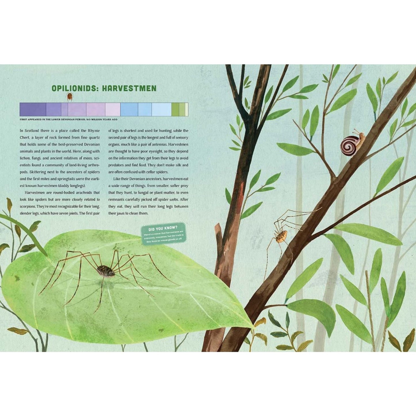 Bugs: A Skittery, Jittery History | Hardcover | Children's Books on Nature