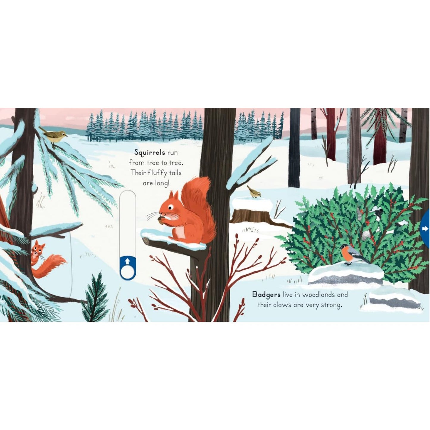 Snow - Big Outdoors for Little Explorers | Interactive Board Book