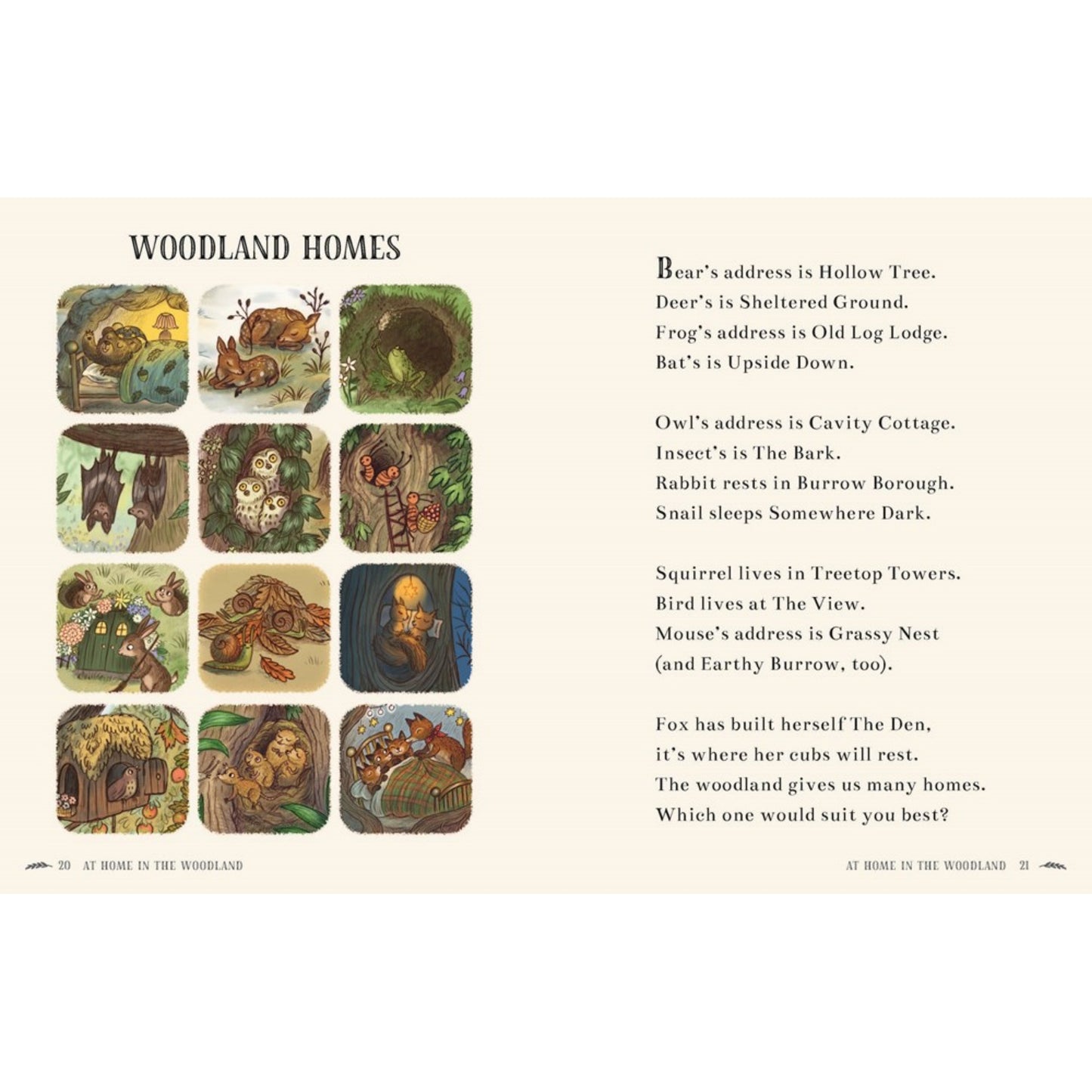 Wisdom of the Woods: 40 Poems to Treasure | Hardcover | Children's Books