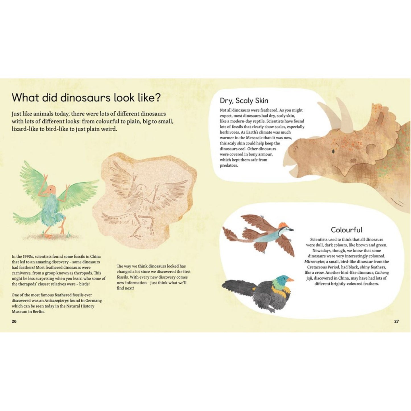 Ask Me About… Dinosaurs: Questions and Answers About the Prehistoric World | Children’s Book on Dinosaurs