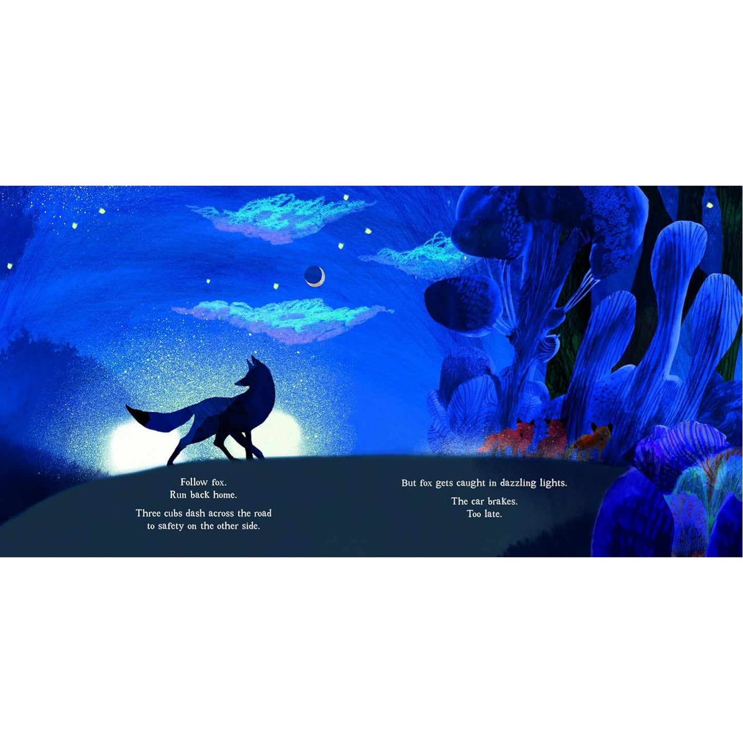 Fox: A Circle of Life Story | Paperback | Children's Book on Nature