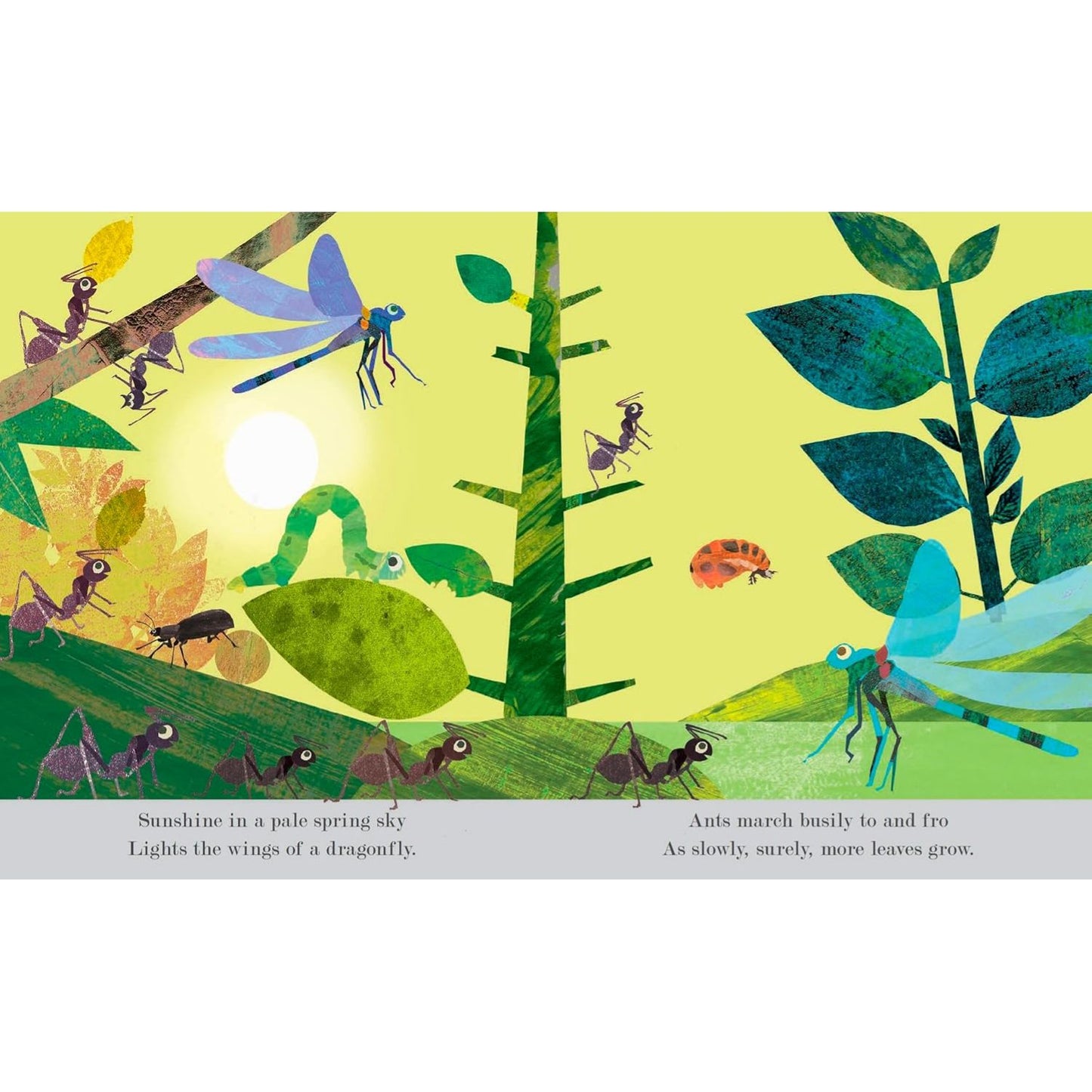 Bugs | Board Book | Children’s Board Book on Nature