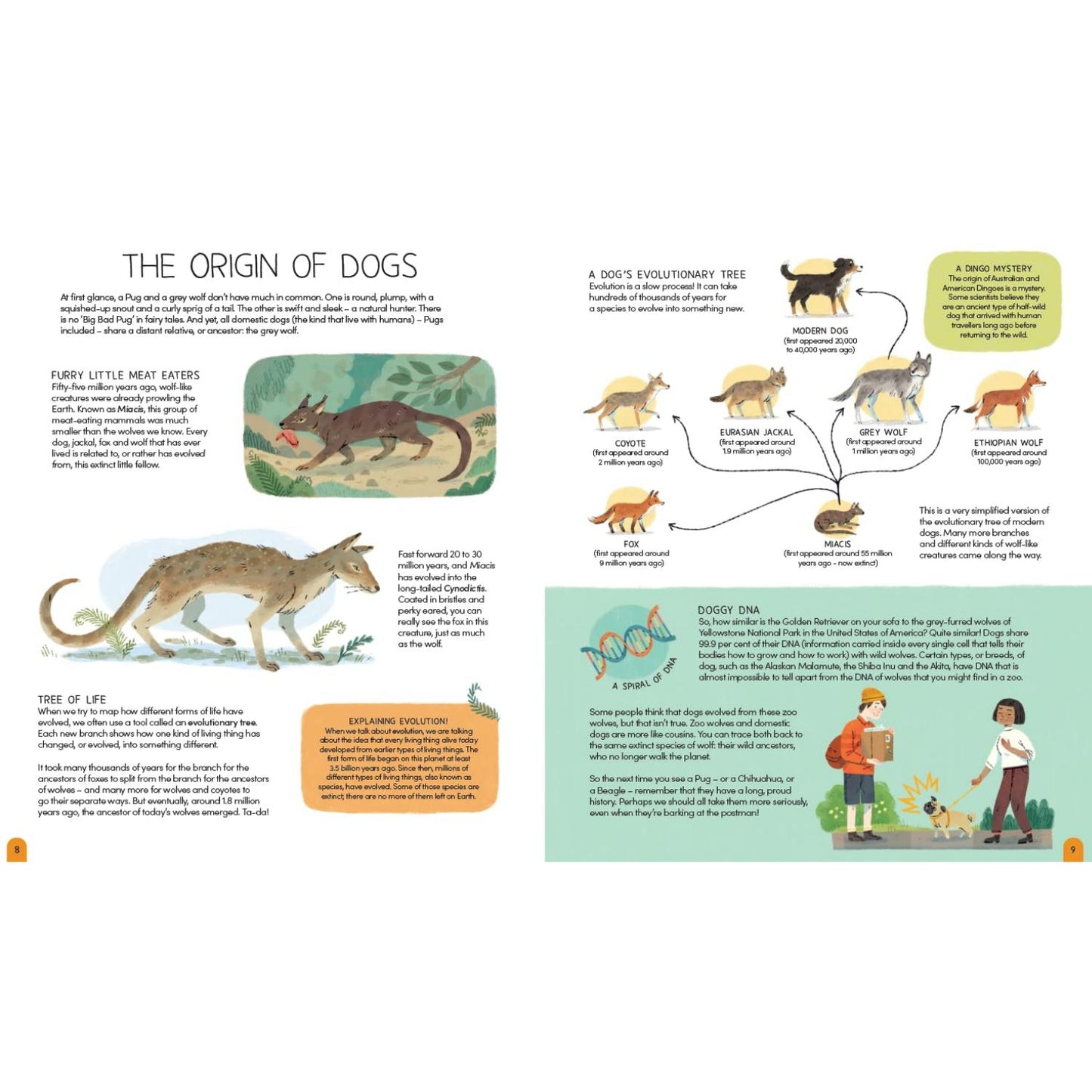 A World of Dogs | Hardcover | Children's Book on Dogs