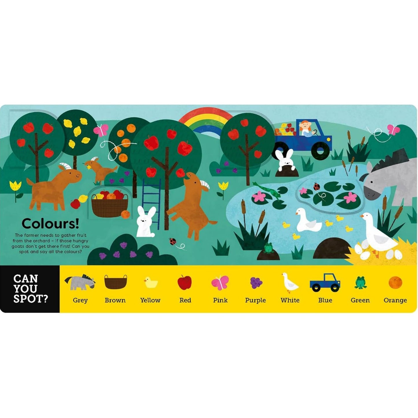 Everything Farm | Board Book | Children's Interactive Book