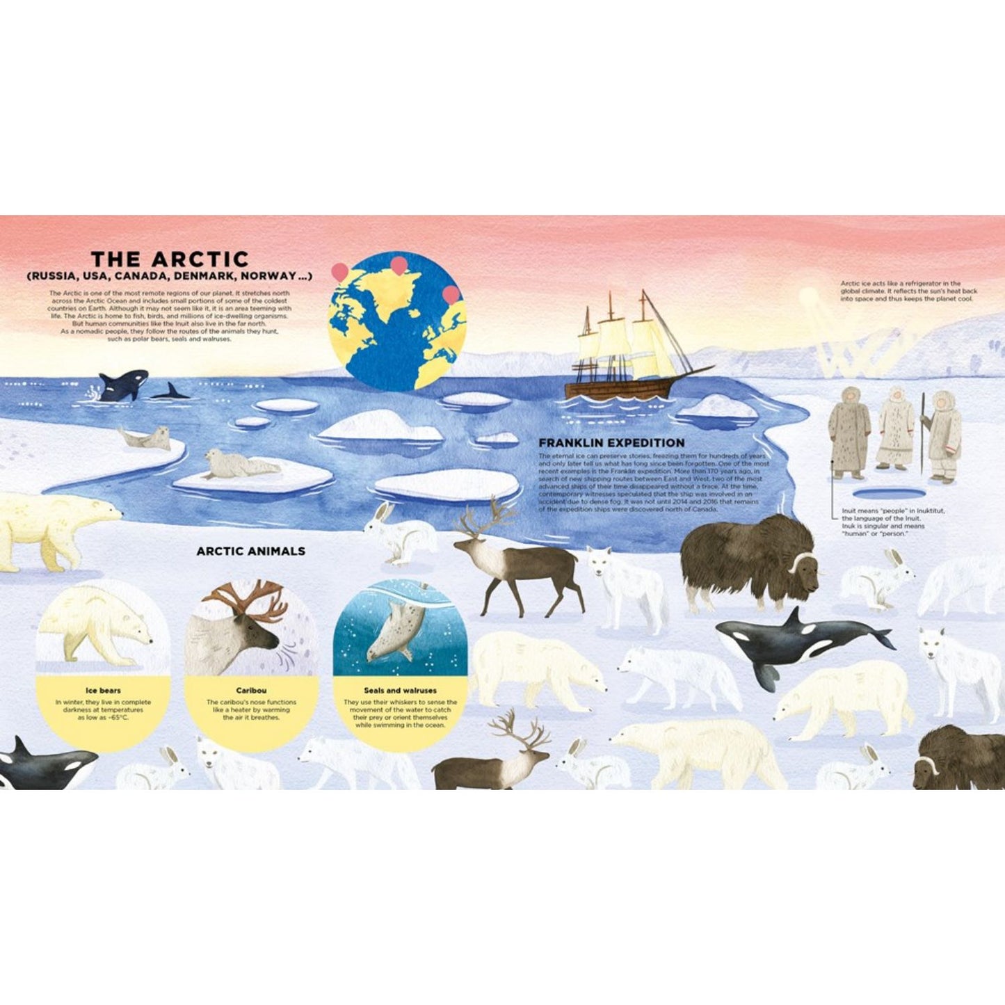 Animals Everywhere: Animal Habitats Around the World | Hardcover | Children’s Book on Nature