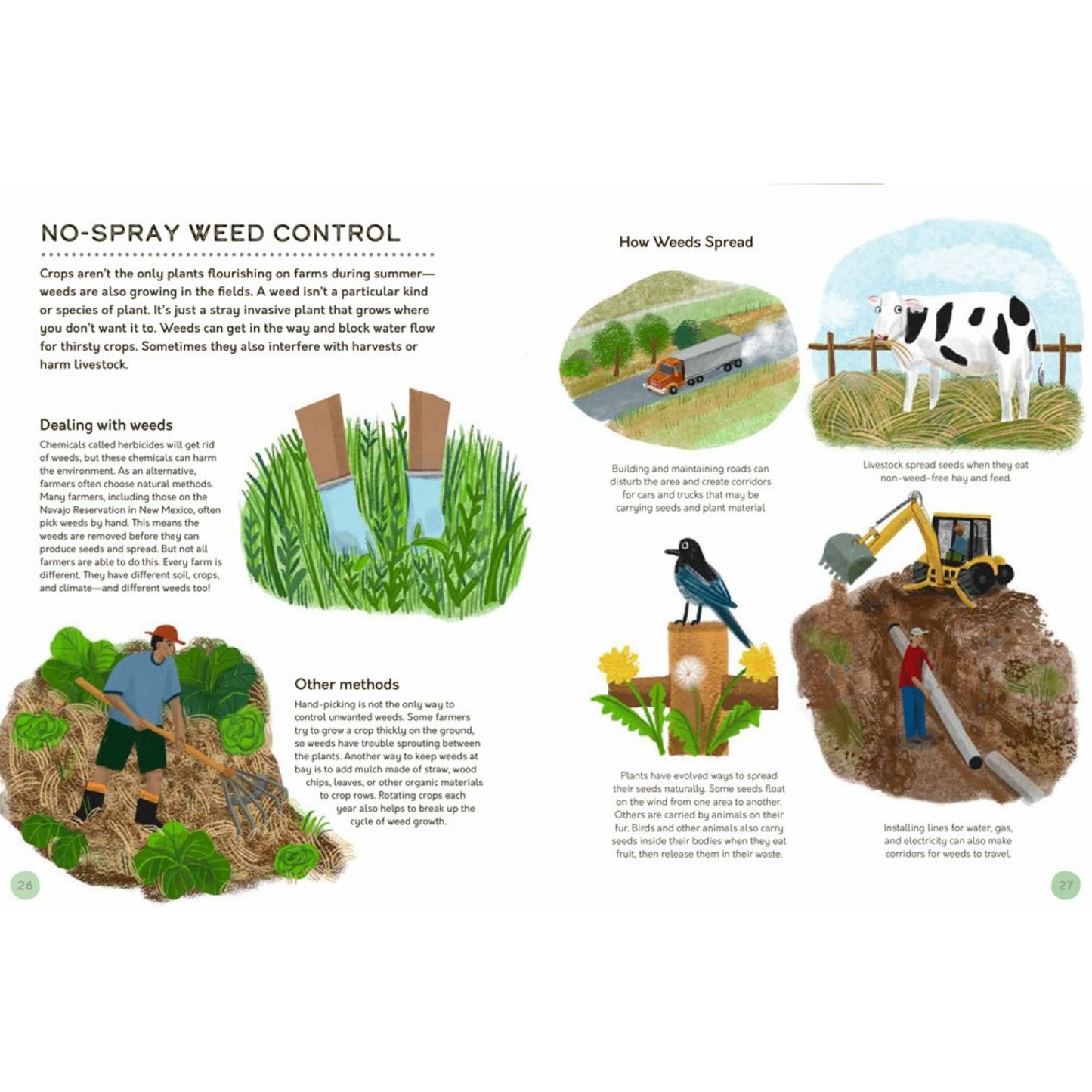 The World That Feeds Us | Hardcover | Children’s Book on Farm Life