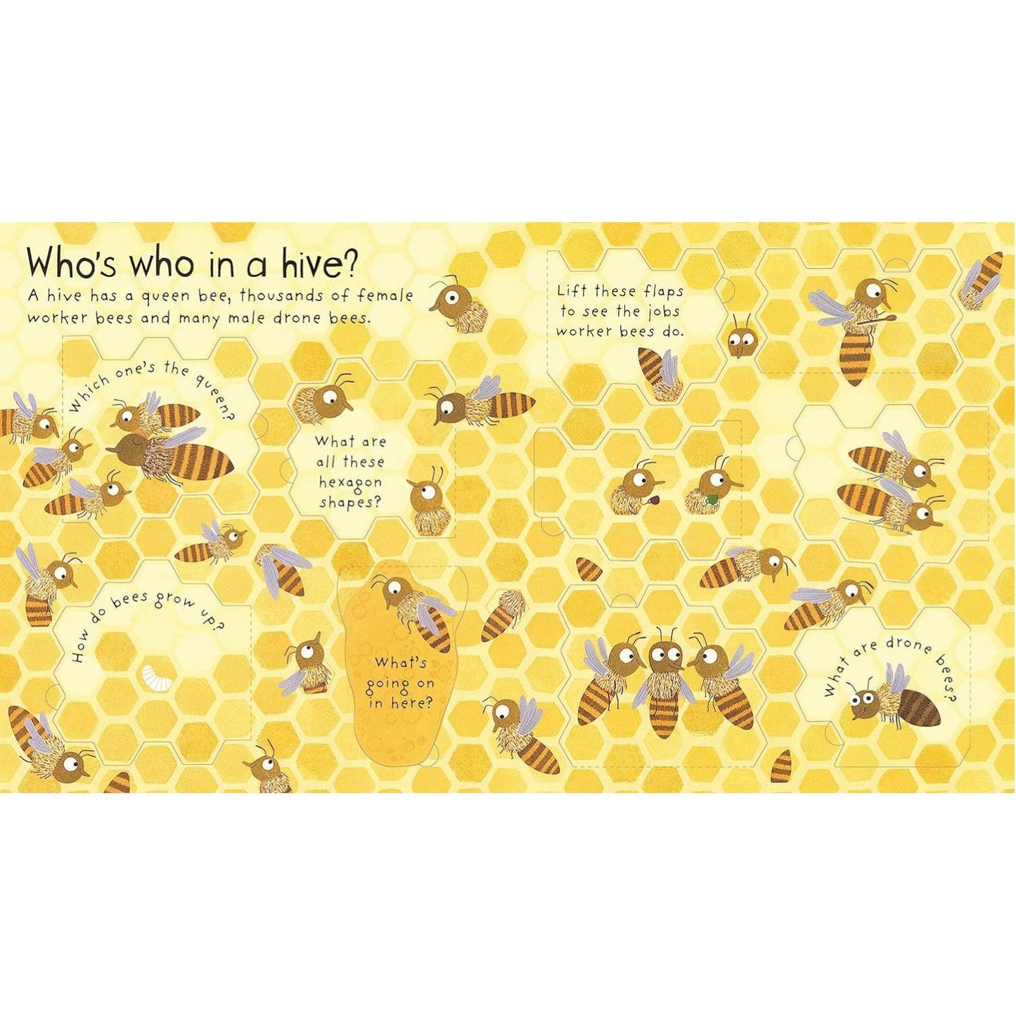 Why Do We Need Bees? - First Questions & Answers Lift-the-Flap Board Book