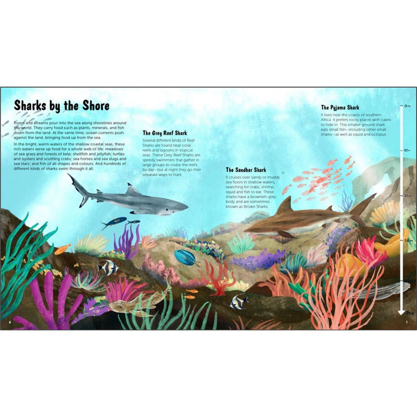 The World of Sharks: Get to Know the Fascinating Creatures of the Oceans | Hardcover | Children’s Book on Oceans & Seas