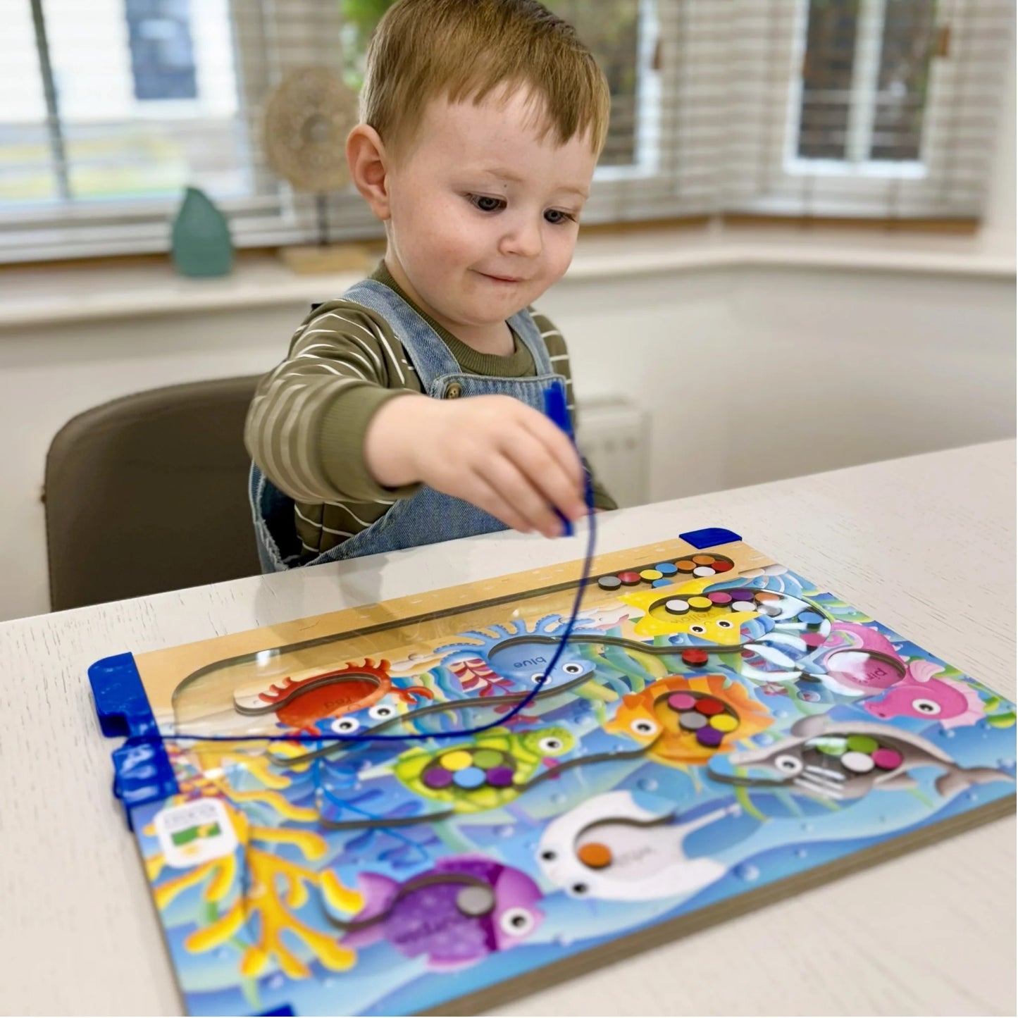 Colours Sea - Sort & Learn Magnetic Puzzles | Dexterity Game For Kids