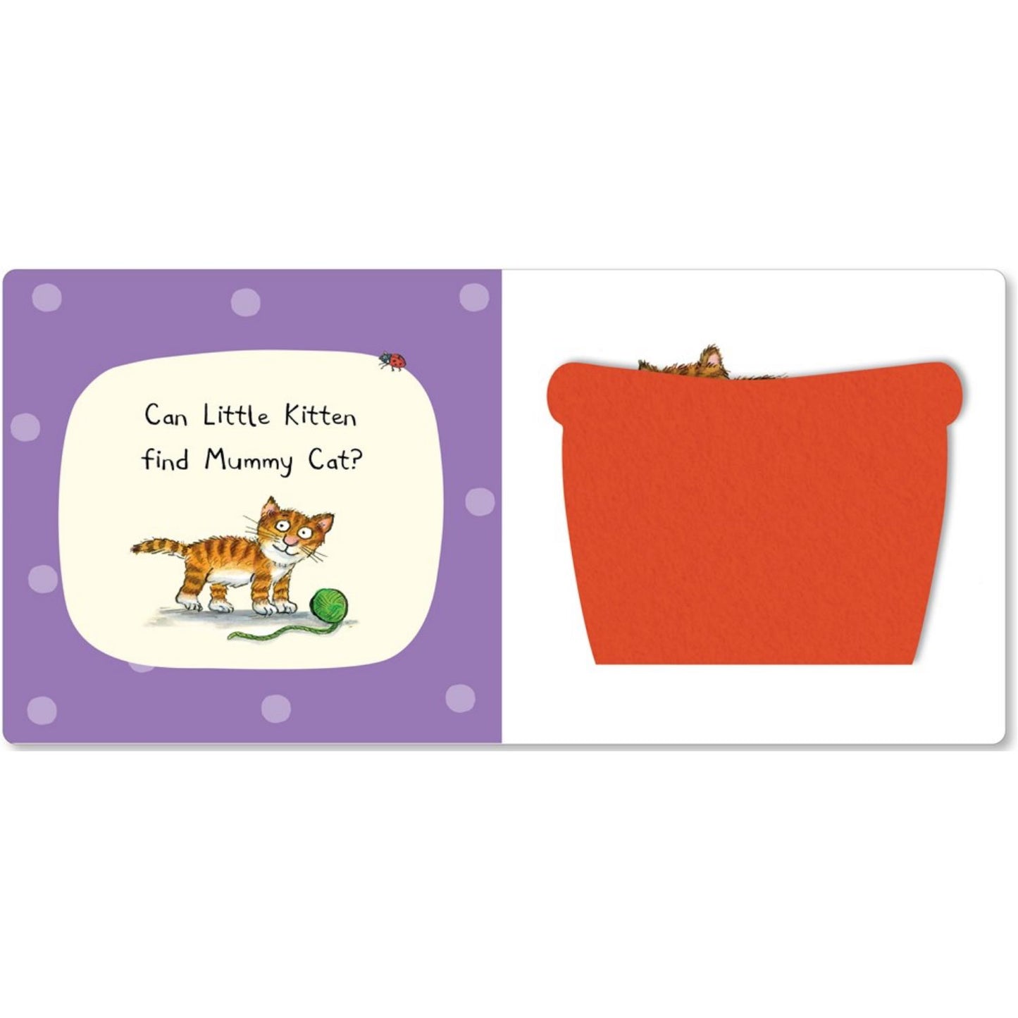 Can You Find Mummy? | Soft Flaps Board Book | Children's Interactive Book