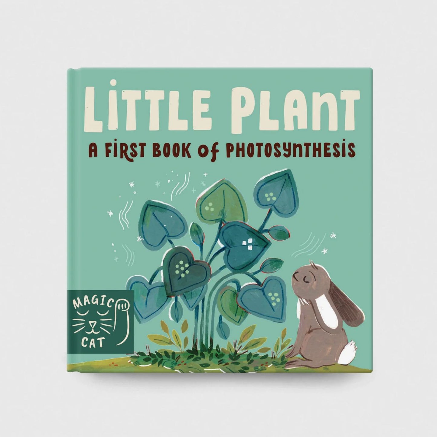 5 Minute Nature Story Box: First Science Concepts For Growing Minds! | Children's Books on Nature