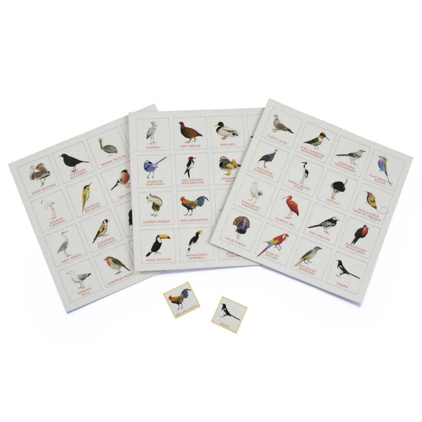Bird Bingo | Children's Bingo Sets