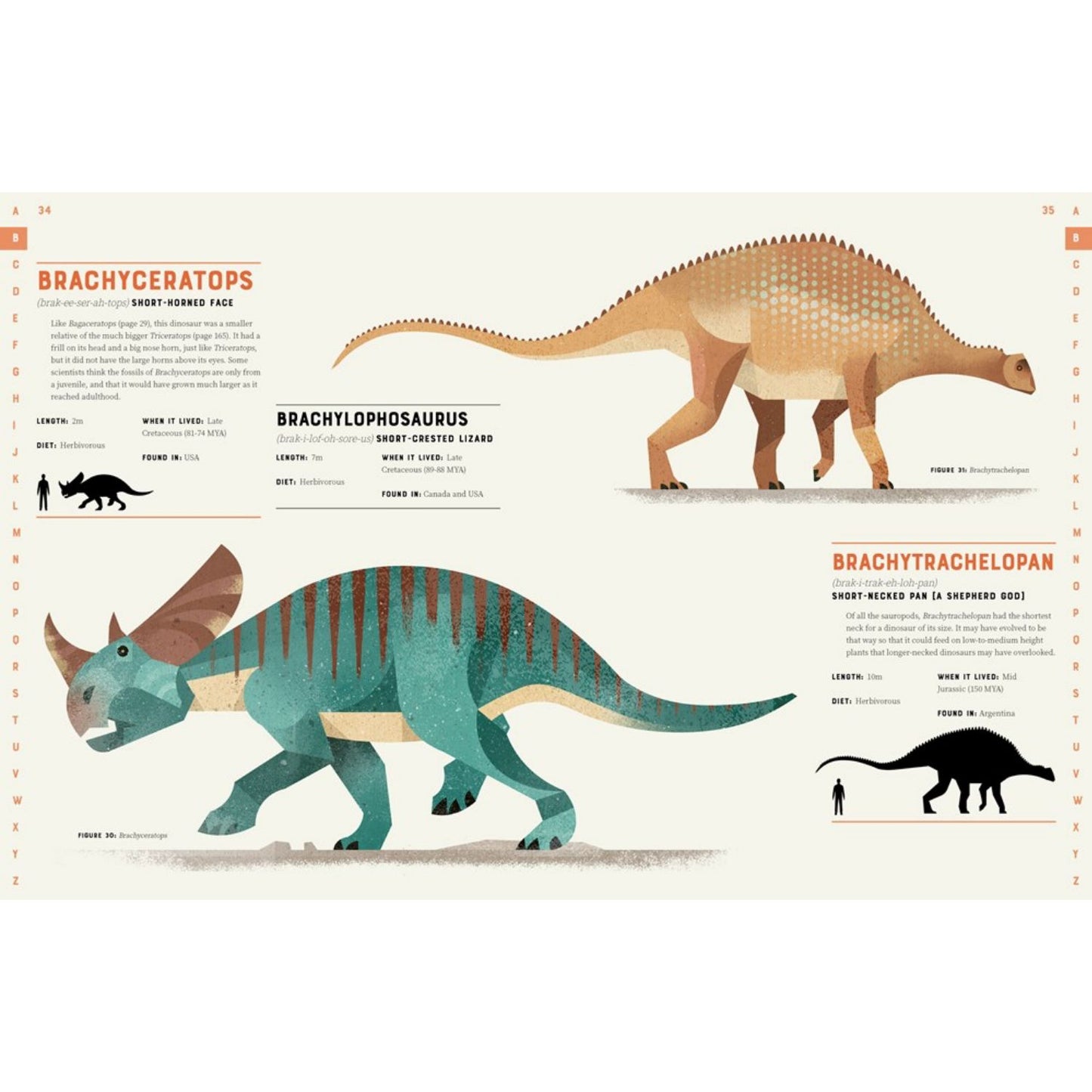 Dictionary of Dinosaurs | Paperback | Children’s Book on Nature