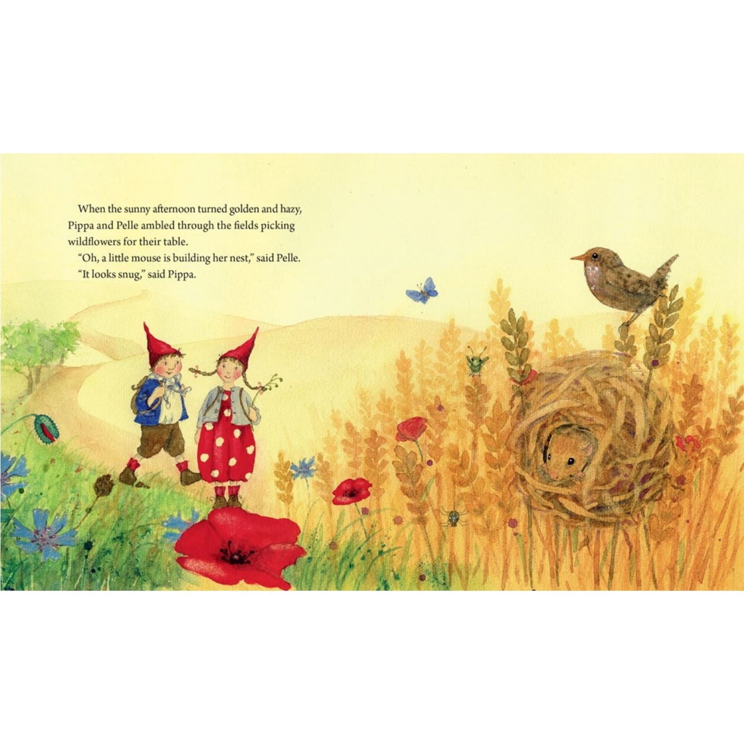 Pippa and Pelle in the Summer Sun | Daniela Drescher | Children’s Board Book
