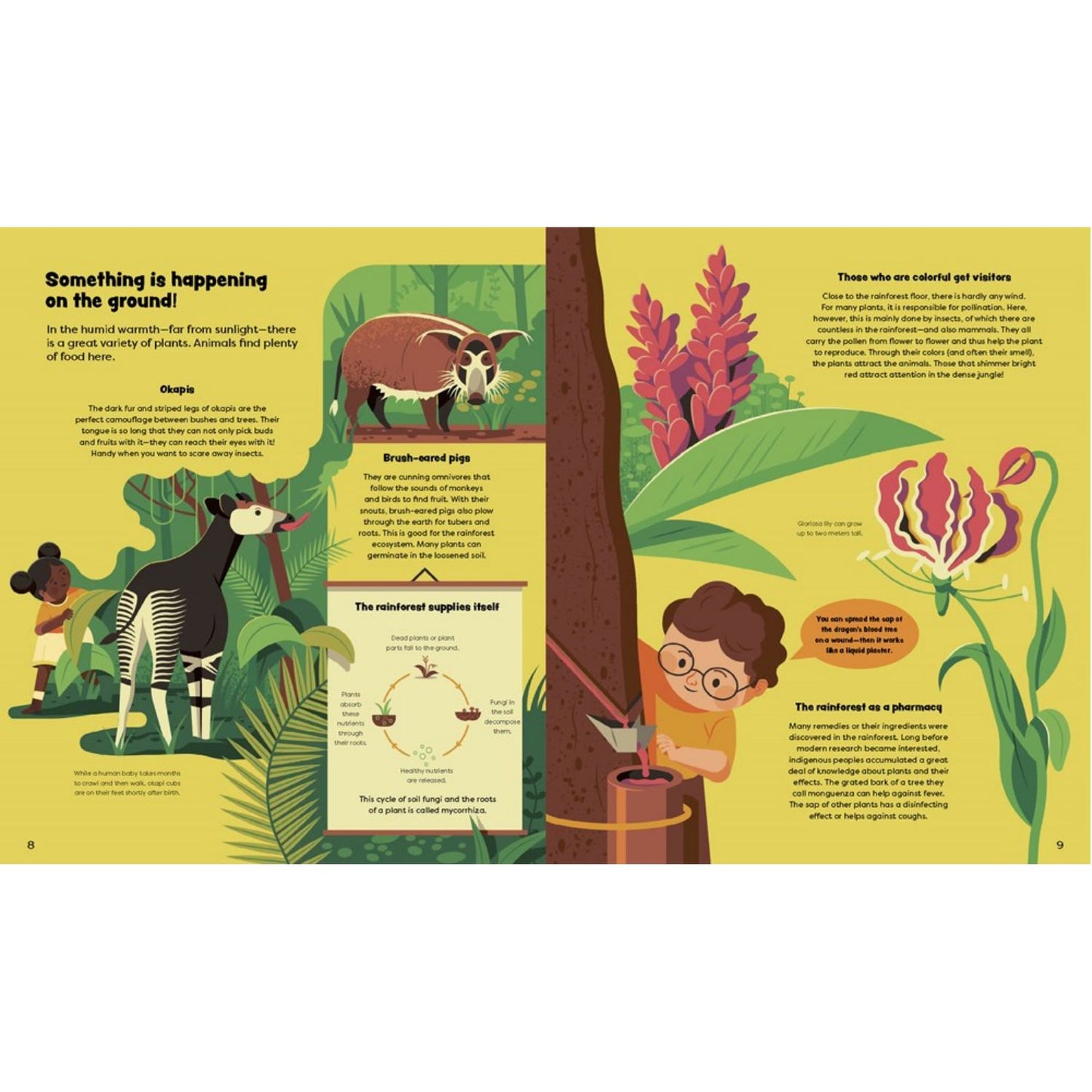 Explore the Rainforest: Emma and Louis in the Jungle | Children’s Book on Nature