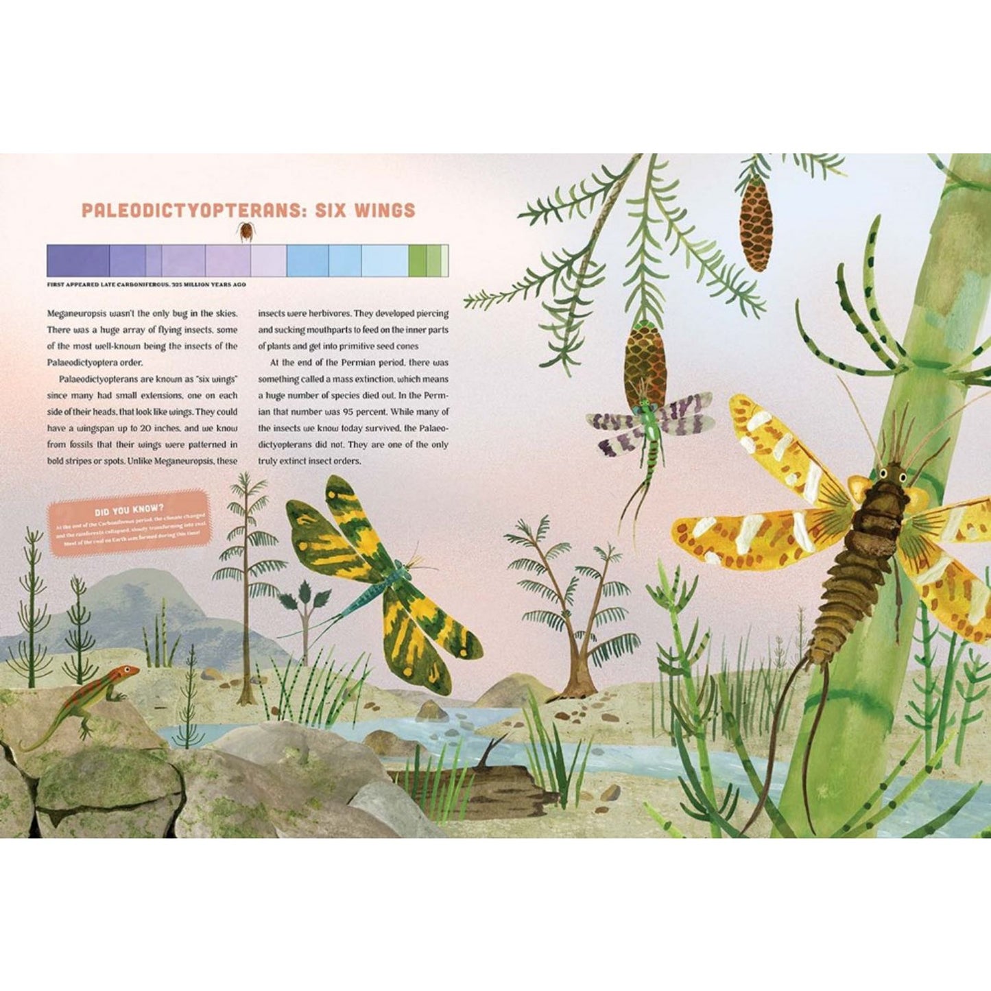 Bugs: A Skittery, Jittery History | Hardcover | Children's Books on Nature