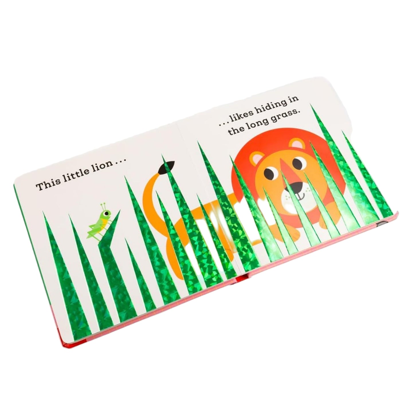 Children's book open to a page with a lion and grass illustration on a white background