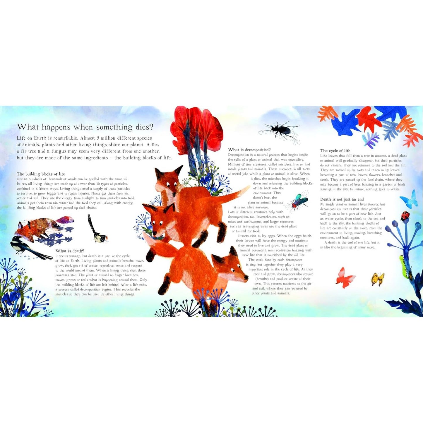 Fox: A Circle of Life Story | Paperback | Children's Book on Nature
