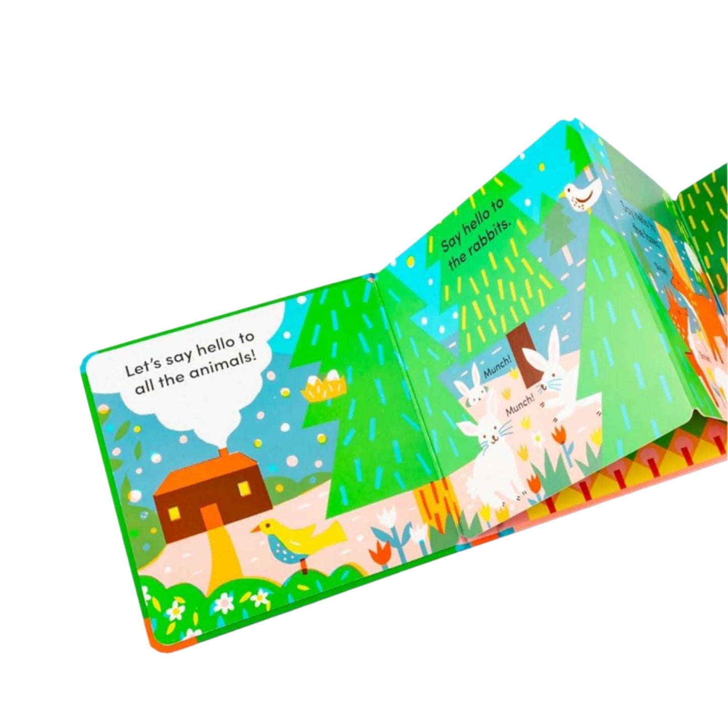 Tummy Time: Forest | Interactive Board Book for Babies & Toddlers